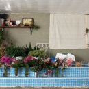 능수목욕탕 이미지