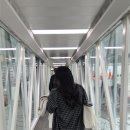 로드 207 | 대만 가오슝 3박 4일 여행 후기(1일차/ 아이허강/ 로컬 우육면/ 리우허야시장)