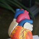 민내과의원 이미지