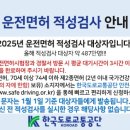 적성 티스토리