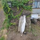 조근조근 민박 이미지