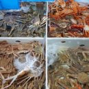 구룡령황토펜션 이미지