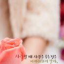 당신만을 위한 길 이미지