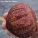 이디야커피공릉역점 | 메가커피 버터떡❤️공릉역점, 1400원 가성비디저트