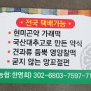 푸른떡집
