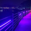 미호교 일원 이미지