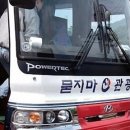 묻지마관광 이미지