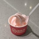 제니스몰