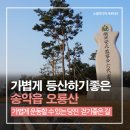 반촌2리 | 가볍게 등산하기 좋은 송악읍 오룡산