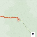 백운산 숲속의 아침 이미지