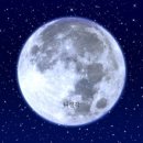지우유통 - 121 | 지우유통