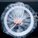 비타민전자 이미지