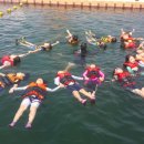 수출대로-20 이미지