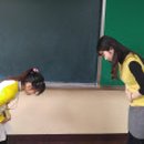 부성초 이미지