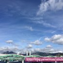 다이야가든