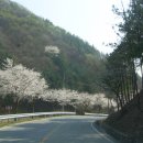 음수동 Daum카페