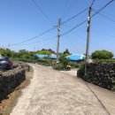 제주토생금공인중개사사무소 이미지