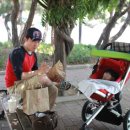 분당-252 이미지