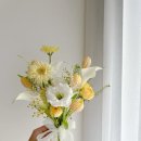 화훼장식기능사 이미지