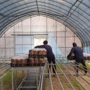 늘픔농장 이미지