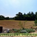 대지파크 이미지