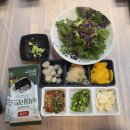 홍스시s 막장막회