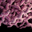 미래동물의료센터 이미지