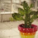 조정래한의원 이미지