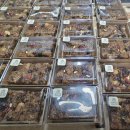 삼진떡집 - 안성시 안성맞춤대로 1050 | 삼진떡집
