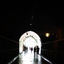 머루와인 벤치 이미지