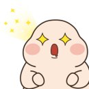 서현펫# 이미지