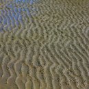 갯벌소리 이미지