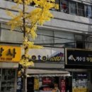 의지공인중개사사무소 이미지