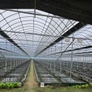 나산농장 이미지