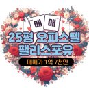 팰리스포유 오피스텔 | 연산역 오피스텔 매매 역세권 25평 방2개 팰리스포유 신혼부부 추천