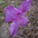 효평동 소공원 이미지