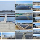 경기둘레길 안산49코스 | 20260320(금)경기둘레길 안산49코스