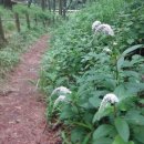 버스정류장 07-203 이미지