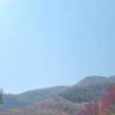 인천로열투어 이미지
