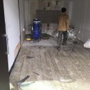 서울애견 미용실 이미지