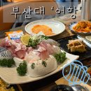 의사로52번길 | 부산대 어항 방어회 횟집 이자카야 내돈내산 솔직후기 재방문의사