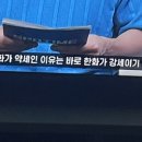 요즘 엔화가 약세인 이유는 이미지