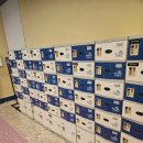 롯데워터파크길1L | 롯데리조트 속초 워터파크 수영장 - 5살, 3살 아이들과 다녀온 후기