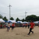 동양초등학교 이미지