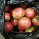 김옥희치과 이미지