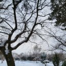 기분좋은카센타 이미지