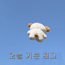 예성투게더 | [My Page🧸] 규현이가 그러는데,,, 내가 샤이규피터래🤭