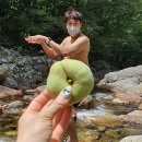 김동성 농장 이미지