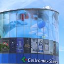 셀린약국 이미지