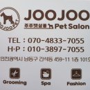 주주펫 이미지